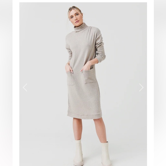 BB Dakota Dresses & Skirts - 09 BB DAKOTA MELT MOUNTAIN DRESS